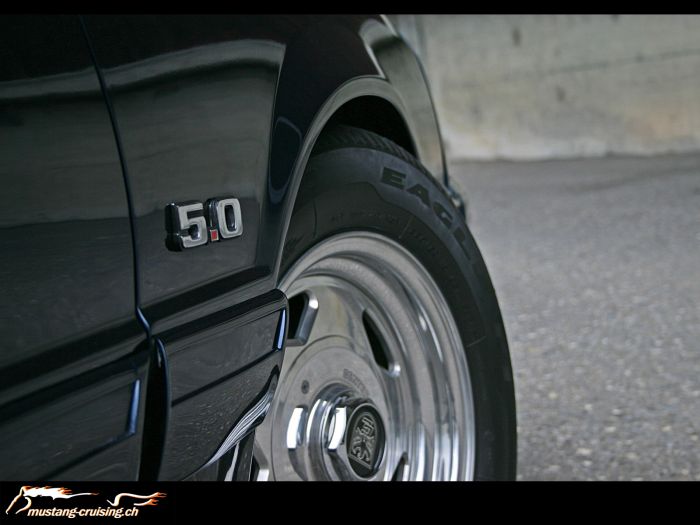 1991 Ford Mustang GT (2)
Klicke auf das Bild, um es in Wallpapergrösse runterzuladen.

Foto: Jen
