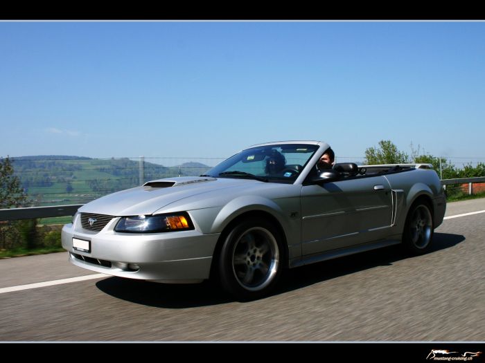 2001 Ford Mustang GT Convertible
Klicke auf das Bild, um es in Wallpapergrösse runterzuladen.

Foto: Jen
