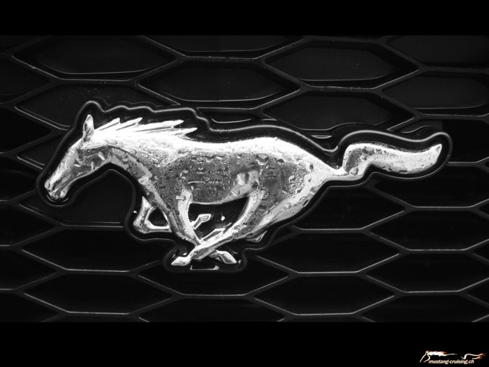 2005 Ford Mustang Pony
Klicke auf das Bild, um es in Wallpapergrösse runterzuladen.

Foto: Jen

