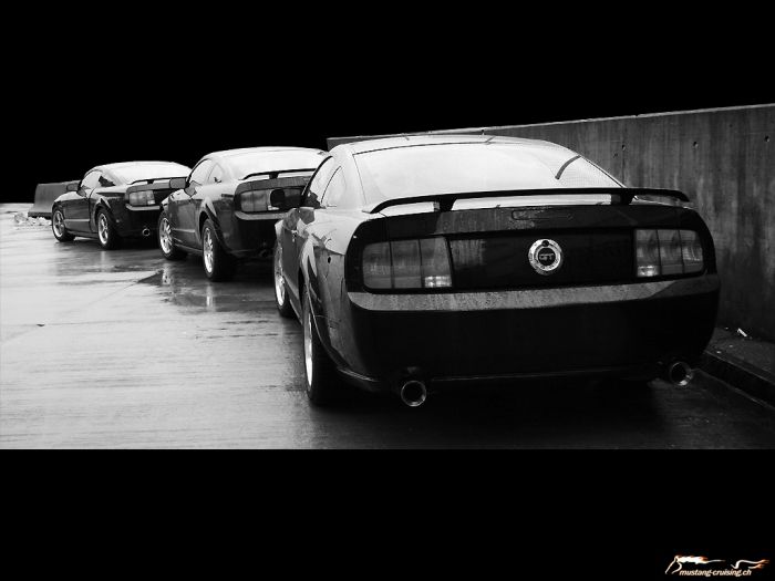 drei 2005 Ford Mustang GT black
Klicke auf das Bild, um es in Wallpapergrösse runterzuladen.

Foto: Jen
