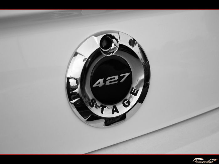 2007 Roush R427 Badge
Klicke auf das Bild, um es in Wallpapergrösse runterzuladen.

Foto: Jen

