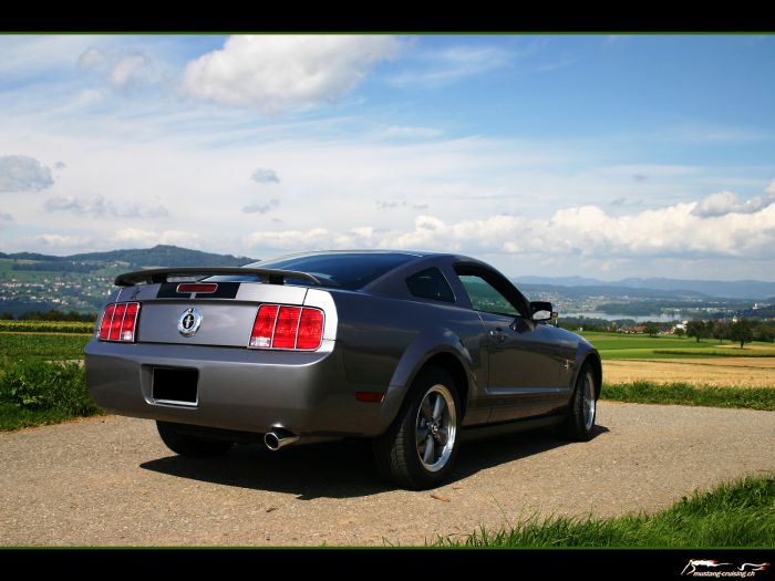 2006 Ford Mustang V6 pony package
Klicke auf das Bild, um es in Wallpapergrösse runterzuladen.

Foto: Jen
