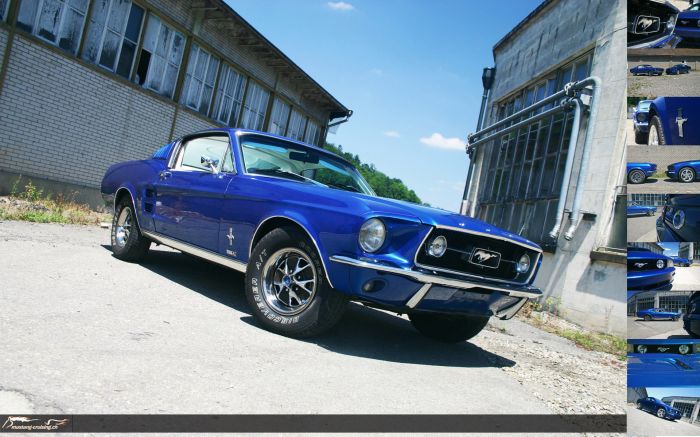 1967 Mustang Fastback und 2008 Mustang GT
Klicke auf das Bild, um es in Wallpapergrösse runterzuladen.

Foto: Jen
