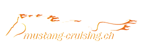 Ford Cruising