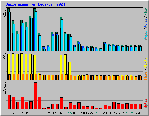 Daily usage for December 2024