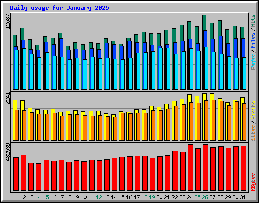 Daily usage for January 2025
