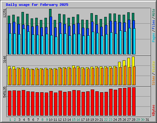 Daily usage for February 2025