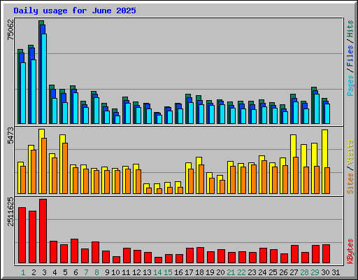 Daily usage for June 2025