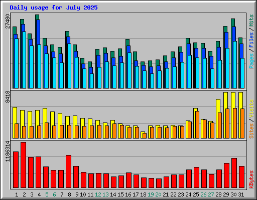 Daily usage for July 2025