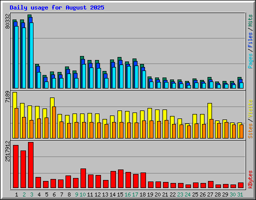 Daily usage for August 2025