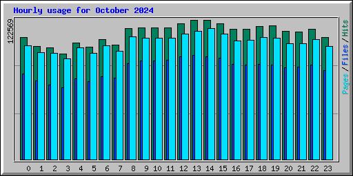 Hourly usage for October 2024