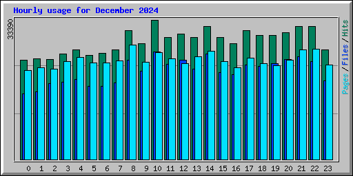 Hourly usage for December 2024