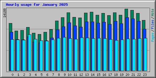 Hourly usage for January 2025