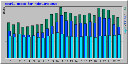Hourly usage for February 2025