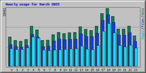 Hourly usage for March 2025