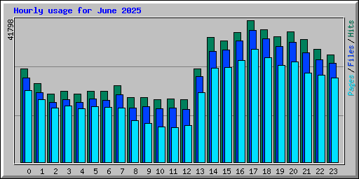 Hourly usage for June 2025