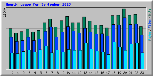 Hourly usage for September 2025