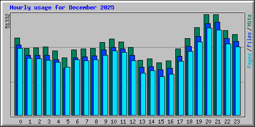 Hourly usage for December 2025