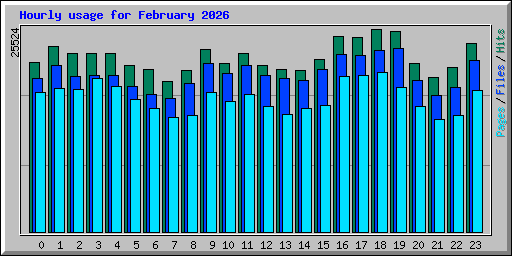 Hourly usage for February 2026
